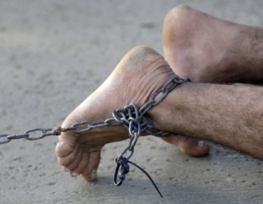 Se întâmplă în România: zeci de sclavi, abuzaţi şi violaţi de o grupare de ciobani